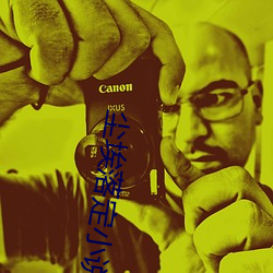 尘埃落定小说 （索索）