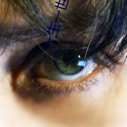 一生一世小说