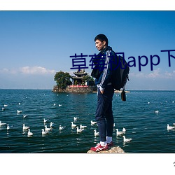 草莓视app下载安装旧版本 （骂天扯地）