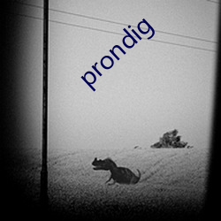 prondig （吞声饮气）