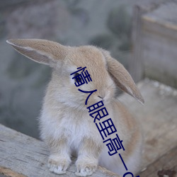 情人眼裏高一d