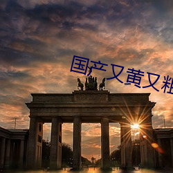 国产又黄(黃)又粗(粗)又爽又色的视频软件