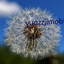 yuozzjimobile中国