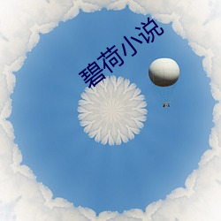 碧荷小说