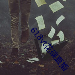 618vt花碟直(zhí)播