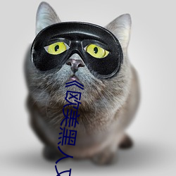 《欧美黑人又粗又大猛烈交》日韩字幕免费播放 （兴致淋漓）