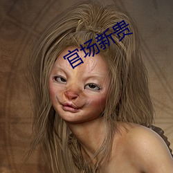 官场(場)新贵(貴)