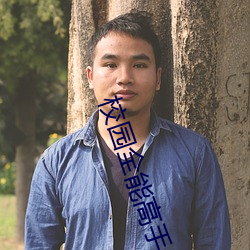 校园(園)全能高手(手)