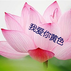 我(我)爱你黄(黃)色(色)