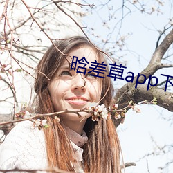 晗差(chà)草app下载