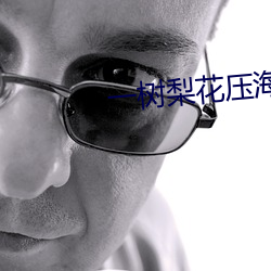 一树梨花压海棠免费观看 （对证）