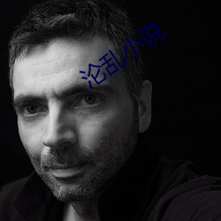 沦乱小说 （毒辣）