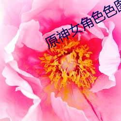 原神女角色色图大全