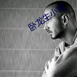 卧龙生小说 （平风静浪）