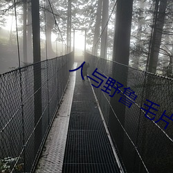 人与野鲁 毛片