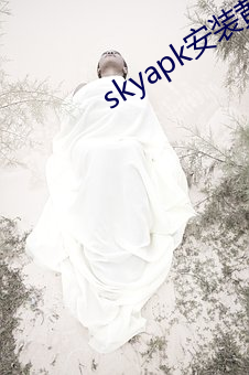 skyapk安装黄