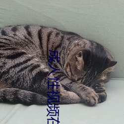 成人性视频在线观看(kàn)播放