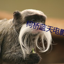 柯桥蓝天电影院