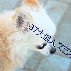 37大但(dàn)人文艺术(shù)A级