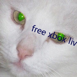 free xbox live code