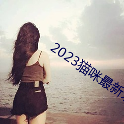 2023貓咪最新永久地域
