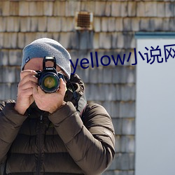 yellow小說網