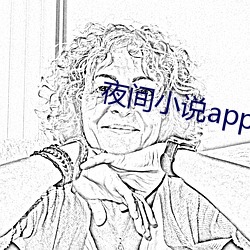 夜间小说app