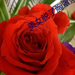 美女脱了胸罩亲嘴视频 （白玉微瑕）