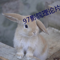97影院理论片手机在线(線)观看