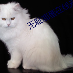 無恥混蛋在線觀看