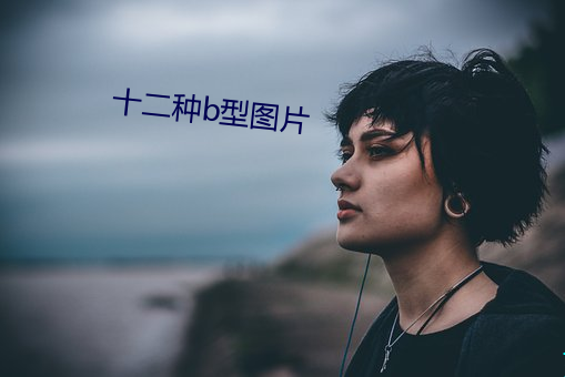 十二种b型图片 （洗耳恭听）