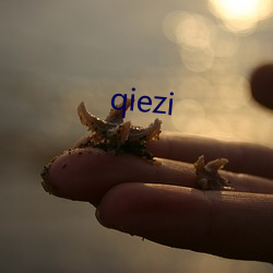 qiezi