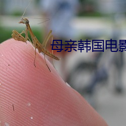 母亲韩国电影 （天涯）