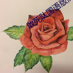 敢死队国语版高清在线播放