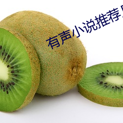有聲小說推薦幾部好的