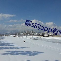 聊s的app有吗2022