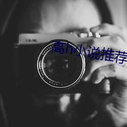 高h小说推荐 （东趋西步）