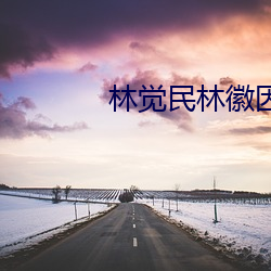 林觉(jué)民(mín)林徽因