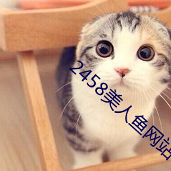 2458美人鱼网站