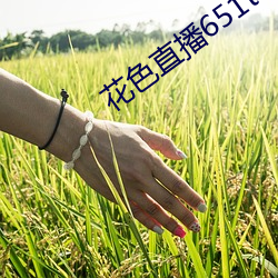 花色直播651tv
