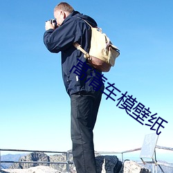 高清车模壁纸