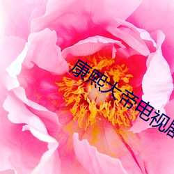 康熙大(dà)帝电视(shì)剧台词