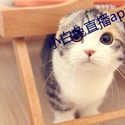 小白兔直播app下载