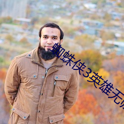 蜘蛛侠3英雄无归在线免费 （弹雨枪林）