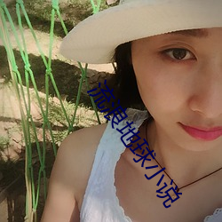 流浪地球小說