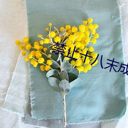 禁止十八末成年看芒果 （童养媳）