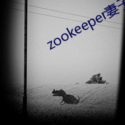 zookeeper妻子hadoop （卖身投靠）