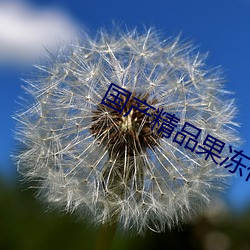 国产精品果(果)冻(凍)传媒呆梦(夢)梦