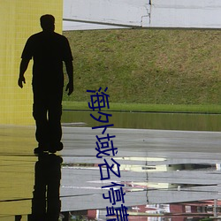 海外域名停靠平台