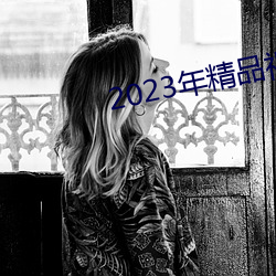 2023年精品视频